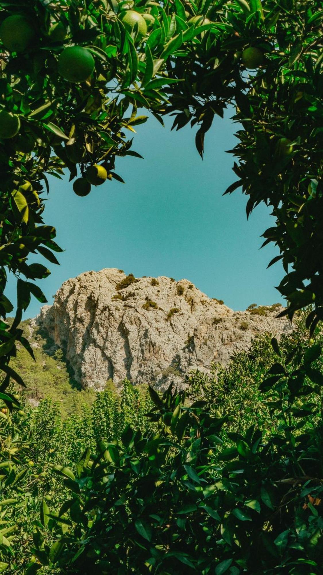 Sheriff, Olympos Kumluca Exterior foto